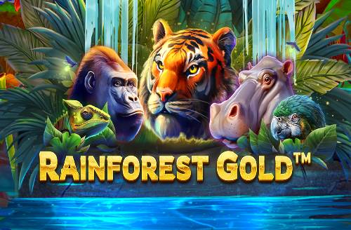 Rainforest Gold